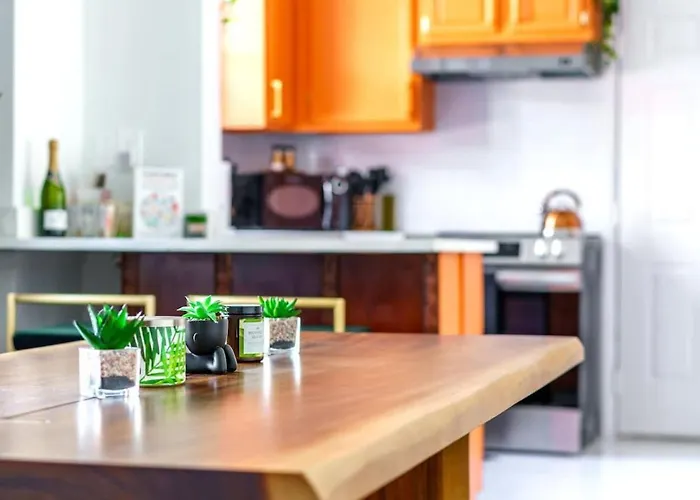 Jungle Gem By Jungle House Private Parking Reviews Downtown & Short North Walk To High Street Near Osu Convention Center & Nationwide Arena *