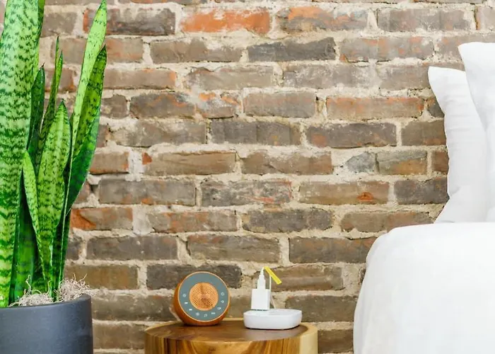 Jungle Gem By Jungle House Private Parking Reviews Downtown & Short North Walk To High Street Near Osu Convention Center & Nationwide Arena Сasa de vacaciones *