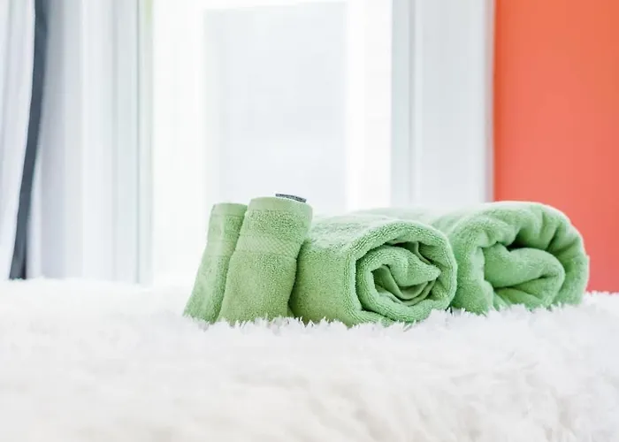 Jungle Gem By Jungle House Private Parking Reviews Downtown & Short North Walk To High Street Near Osu Convention Center & Nationwide Arena Columbus