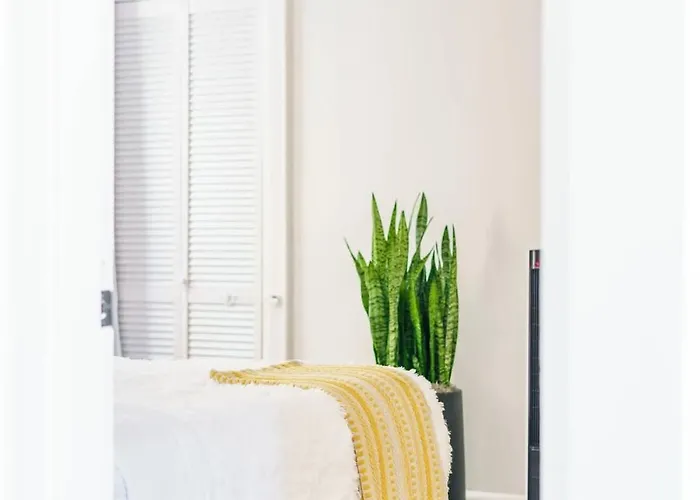 Jungle Gem By Jungle House Private Parking Reviews Downtown & Short North Walk To High Street Near Osu Convention Center & Nationwide Arena Columbus
